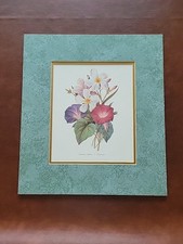 Botanical print unframed for sale  Mount Laurel