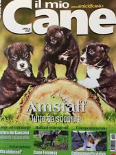 Mio cane 2021 usato  Campagna