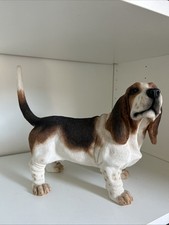 Large basset hound for sale  BIRMINGHAM