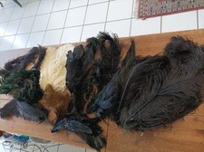 Lot anciennes plumes d'occasion  Chaumont