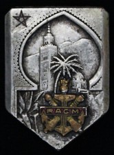 Insigne régiment artillerie d'occasion  Le Plessis-Robinson