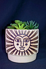 succulent designs for sale  Albany