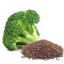 Organic non gmo for sale  Lebanon