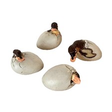 Set ducklings hatching for sale  Marietta