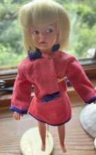 Mini pedigree sindy for sale  NOTTINGHAM