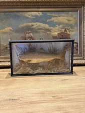 Vintage rainbow trout for sale Vintage rainbow trout for sale  CHERTSEY