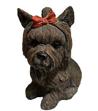 Yorkshire terrier heavy for sale  CLACTON-ON-SEA