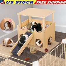 Tier guinea pig for sale  USA