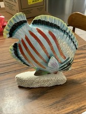 angel fish for sale  Hanover Park