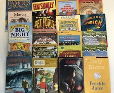 Boys chapter books for sale  Baltimore