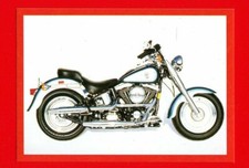 Top moto panini usato  Fiorano Modenese