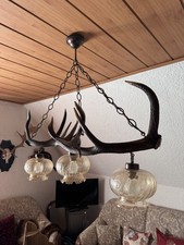 Hirschhorn geweih lampe gebraucht kaufen  Altenstadt