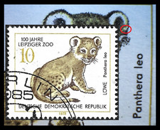 100 jahre zoo gebraucht kaufen  Berlin