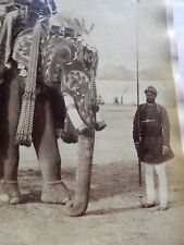 Delhi durbar elephants for sale Delhi durbar elephants for sale  UK