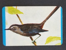 Catbird 1957 quaker for sale  Reading