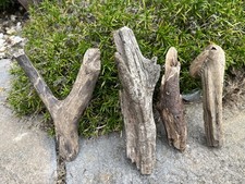 22cm driftwood character for sale  CLACTON-ON-SEA