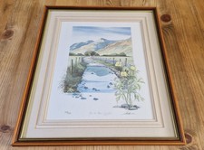 Geoffrey cowton rain for sale  BOLTON
