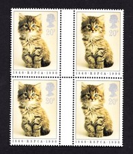 1990 kitten anniv for sale  HARROGATE