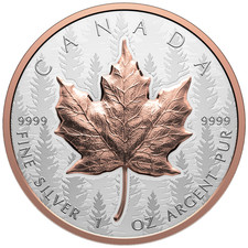 Silbermünze maple leaf gebraucht kaufen  Erftstadt