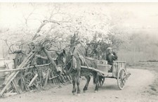 Snapshot cheval tirant d'occasion  Bar-sur-Seine