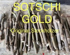 Steckhölzer rig sotschi gebraucht kaufen  Sigmarszell