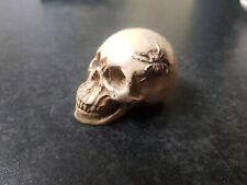 Resin skull head for sale  HARTFIELD