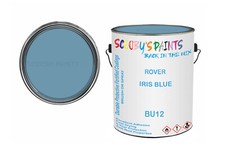 Classic paint austin for sale  UK