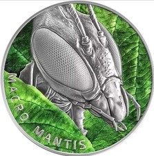 Macro mantis insekten gebraucht kaufen  Nidderau