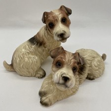Pair fox terriers for sale  WATLINGTON