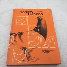 Healthy pigeons schrag for sale  HAVERFORDWEST