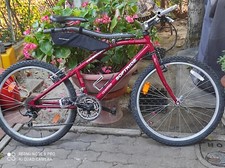 Softride biciclette americane usato  Novi di Modena