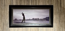 Tiger woods 12x30 for sale  Richmond