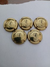 Capsule champagne new d'occasion  Colombes
