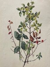 Julie harber original for sale  YORK