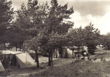 Ddr karlshagen usedom gebraucht kaufen  Deutschland