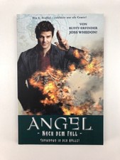 Angel dem fall gebraucht kaufen  Haag