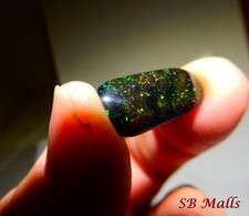 5.6 cts. honduras for sale  Crawfordville