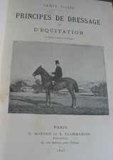 Cheval james fillis d'occasion Cheval james fillis d'occasion  Surgères