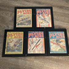 Professionally framed flying for sale  Killeen