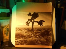U2-THE JOSHUA TREE-56 PAGE TOUR PROGRAM1986-87 (ALGUM PROBLEMA DE ESTADO) comprar usado  Enviando para Brazil