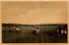 Ruanda zebra 231938 gebraucht kaufen  Eimeldingen