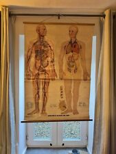Vintage human body for sale  WAKEFIELD