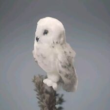 Douglas snowy owl for sale  Yukon