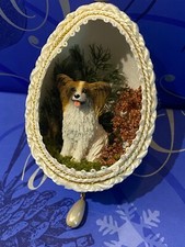 papillon dog for sale papillon dog for sale Webster