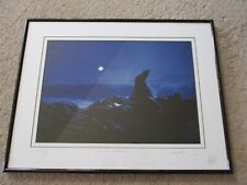 Picture framed sea for sale  Martinsburg