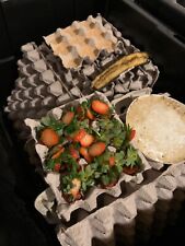 Dubia roach starter for sale  Philadelphia