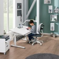 Paidi kids butler gebraucht kaufen  Crailsheim