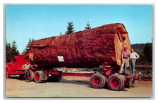 Giant fir log for sale  Oakland