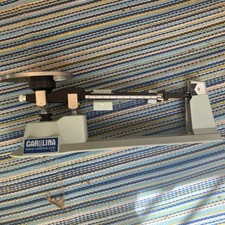 Fast ship carolina for sale  Raleigh