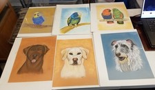 Marcia byerly original for sale  Earle
